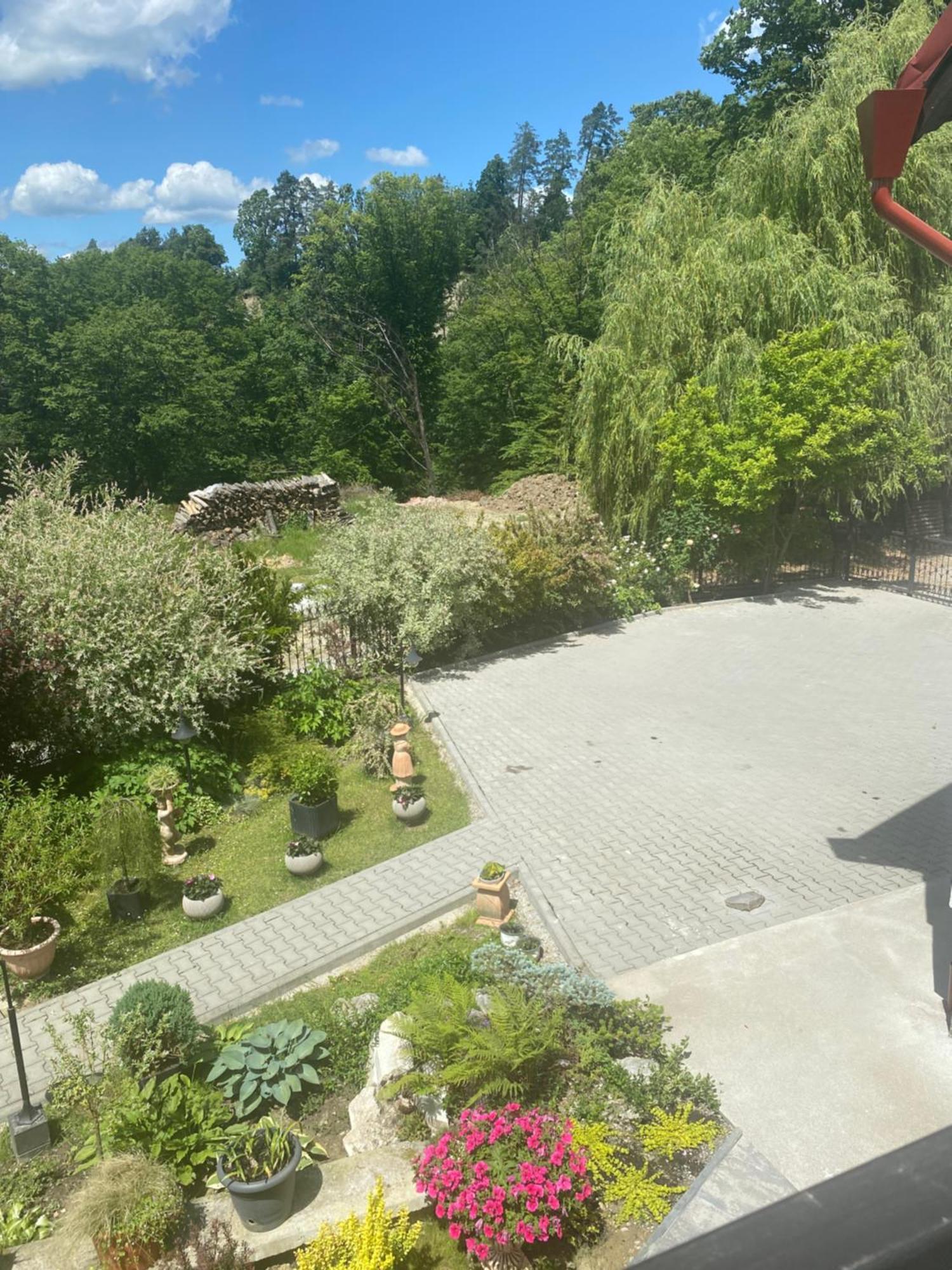 Nu Ma Uita 2 Villa Sovata Exteriör bild
